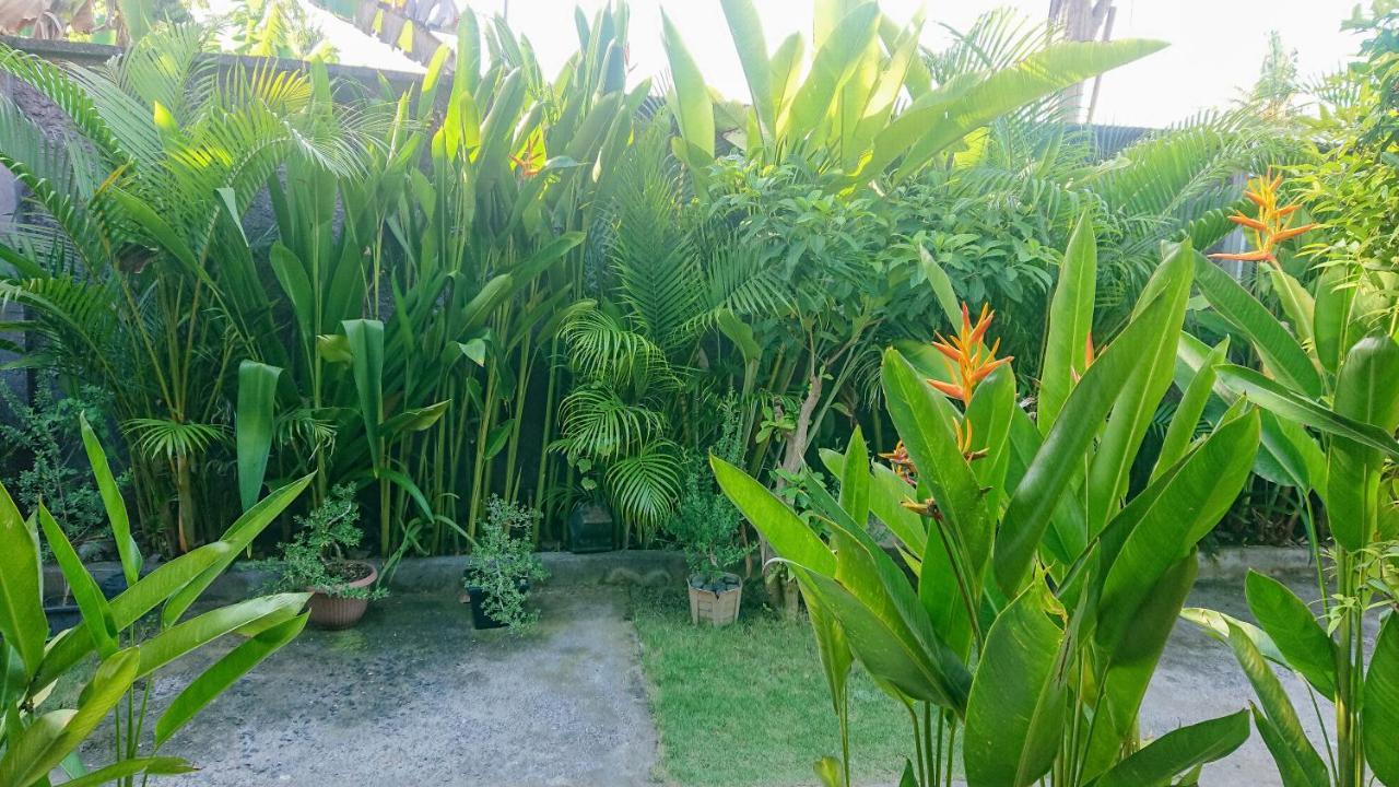 The Cozy Bidara Nusa Penida Toyapakeh Extérieur photo
